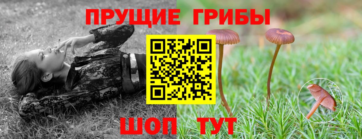 Псилоцибиновые грибы GOLDEN TEACHER Менделеевск
