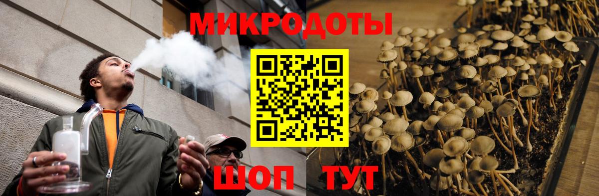 Менделеевск  Псилоцибиновые грибы Psilocybine cubensis  Галлюциногенные грибы мицелий  Вход с VPN 